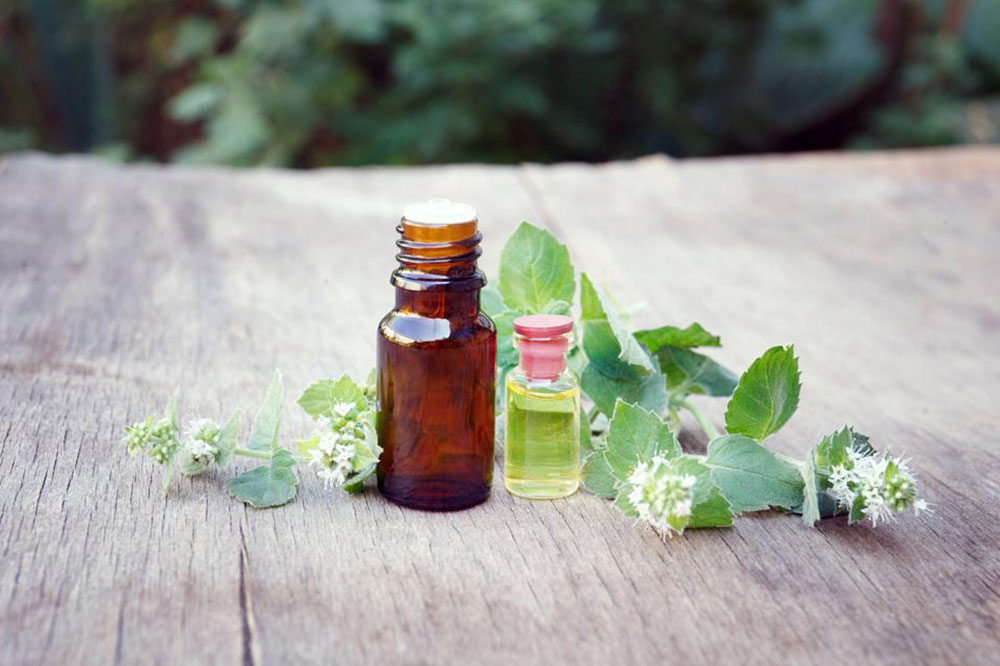 3 Pet-Friendly Essential Oils