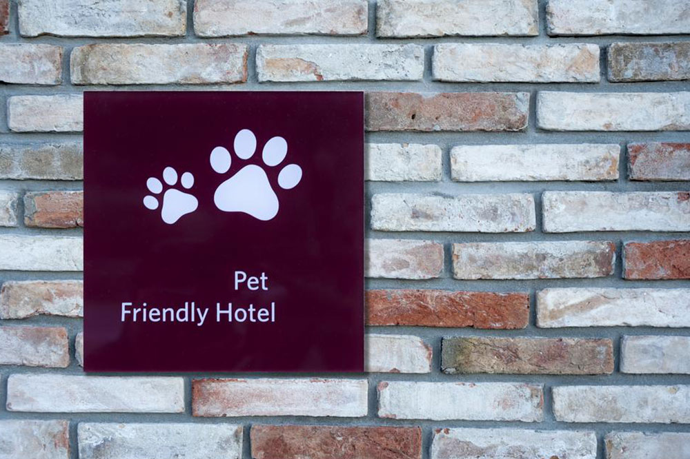 Top 5 Pet-Friendly Hotels in the Country