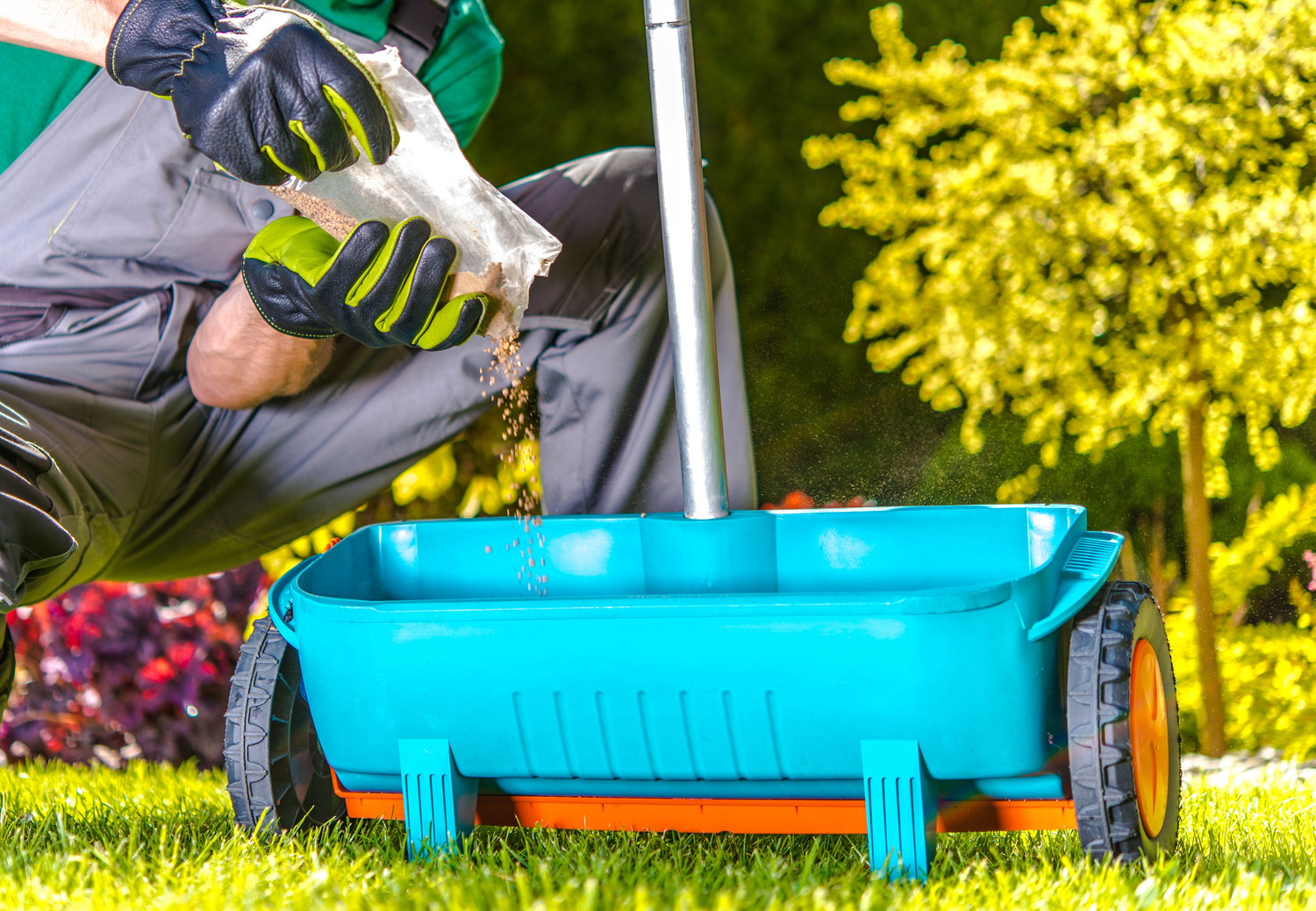 Easy Hacks to Keep a Healthy Lawn